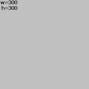 IMAGE SIZE = 300x300