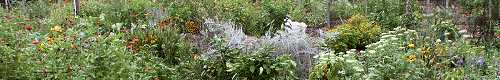 Prodigy's Gardening Community is a place -- for assorted advice, helpful hints, interactive questions and answers, links to tips and tricks -- to meet your gardening needs