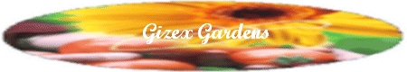 Community Logo