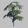 IMAGE SIZE = 100x100