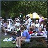 Ziemer Sports Weekend Softball[Click to enlarge]
