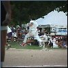Ziemer Sports Weekend Softball[Click to enlarge]