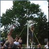 Ziemer Sports Weekend Vollyball[Click to enlarge]